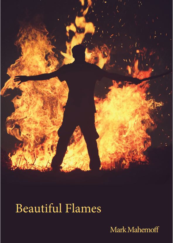 A book cover featuring a silhouette of a man standing in front of a large fire. The title an author are in orange lettering at the bottom of the page