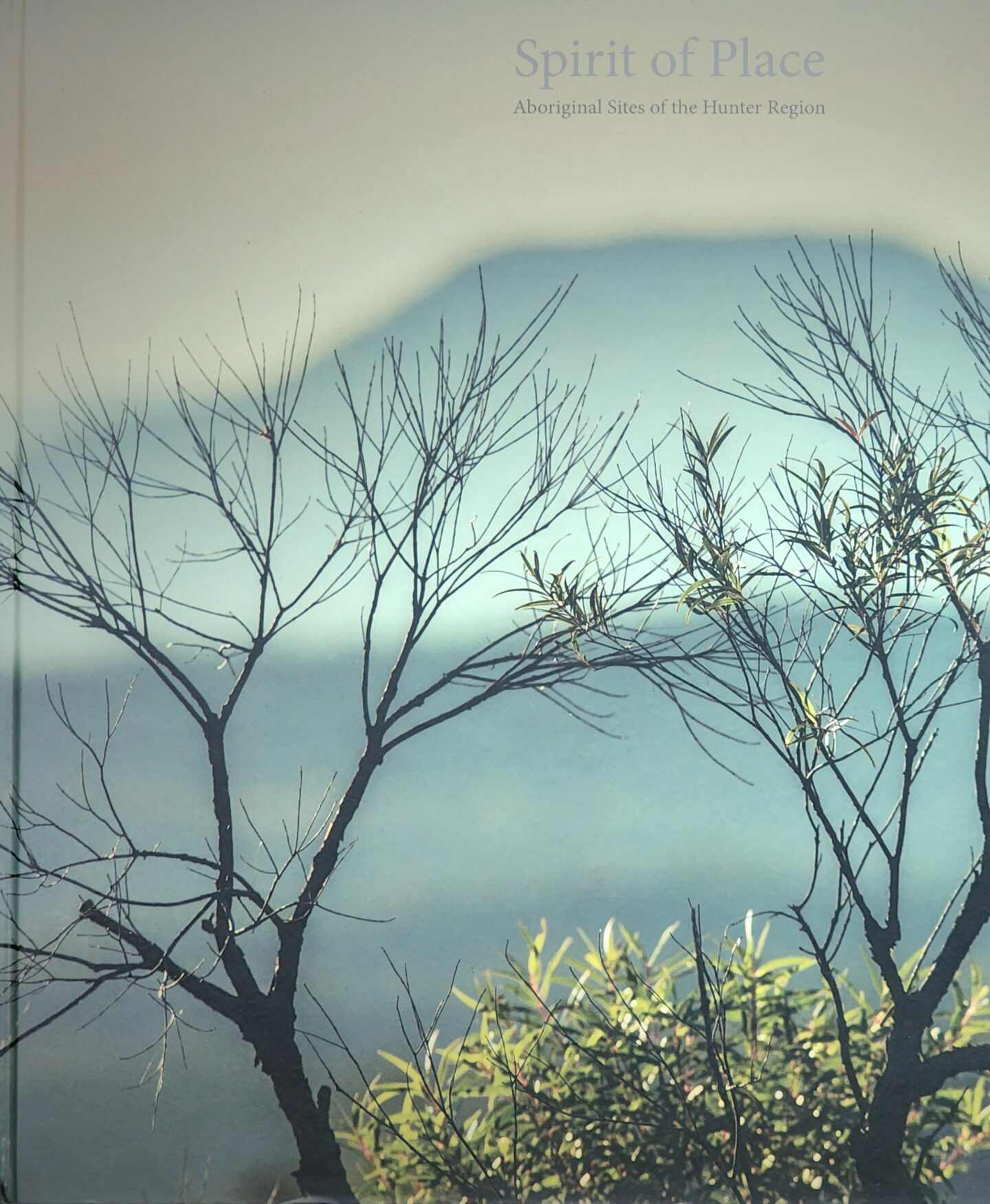 A book cover featuring tree branches in front of a mountain