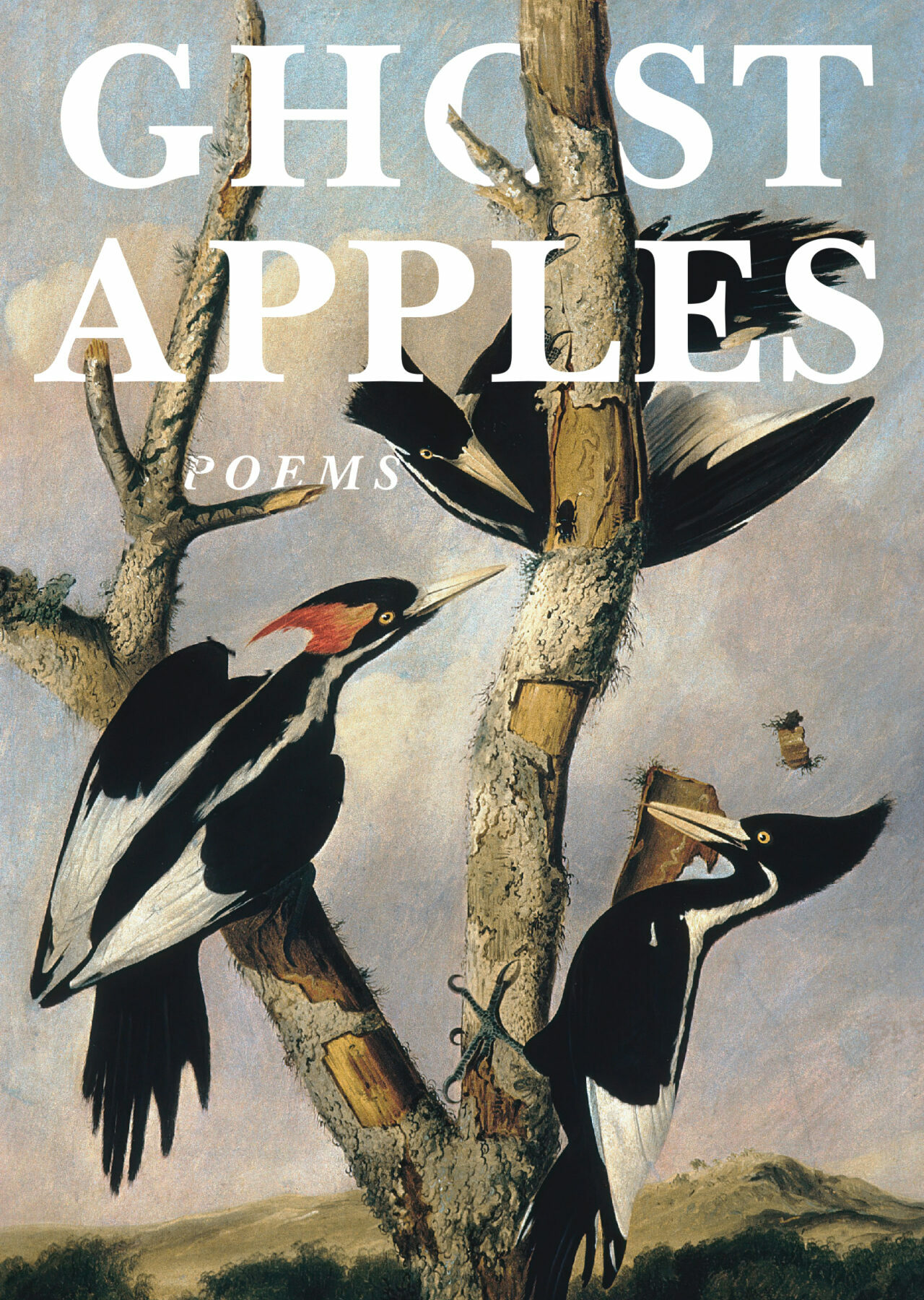 A book cover featuring black and white birds in a bare tree. The title is in white block letters at the top