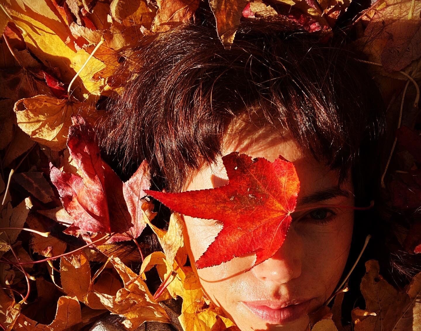 A woman with short brown hair lies in a pile of autumn leaves, one large read leaf partially obscuring her face